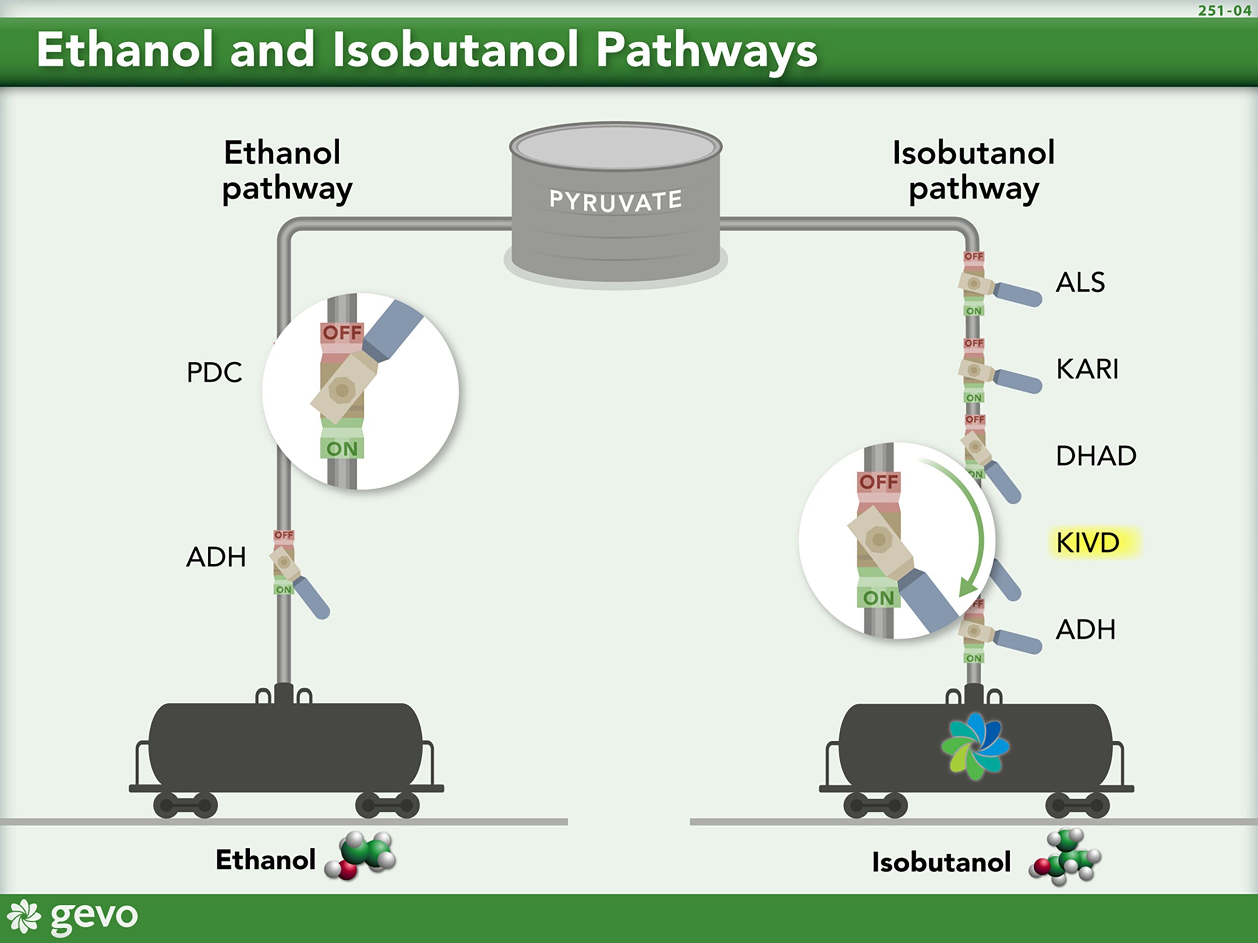 Graphic of ethanol and Isobutanol